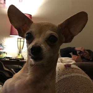 Meet your Posher, Kathy